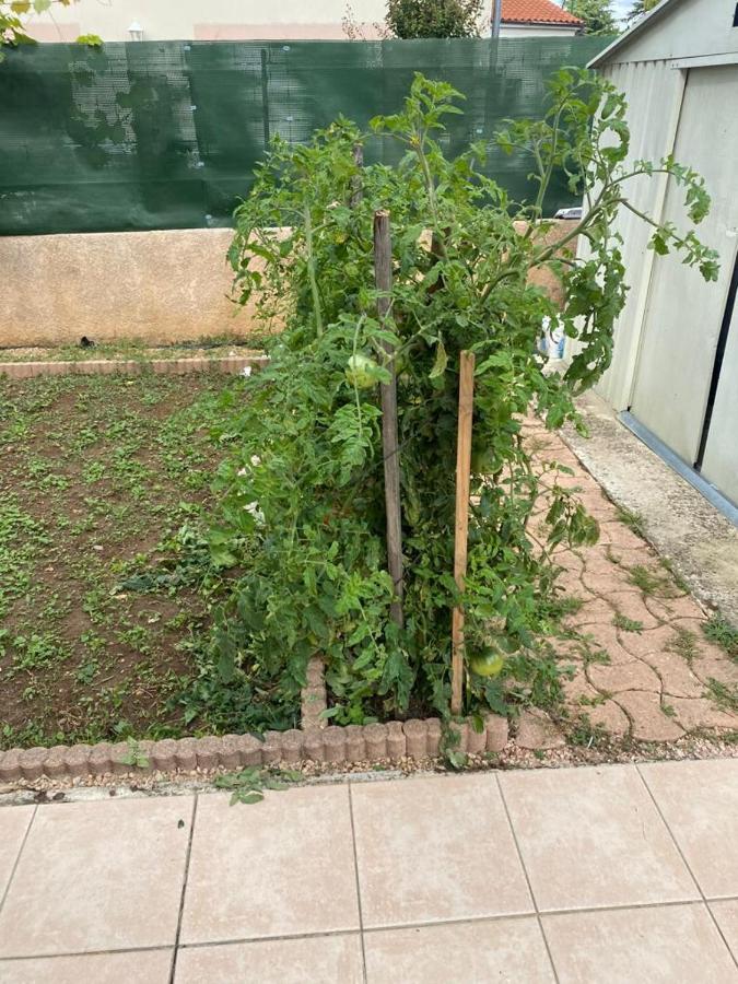 Studio - Carre De Soie Vaulx En Velin المظهر الخارجي الصورة